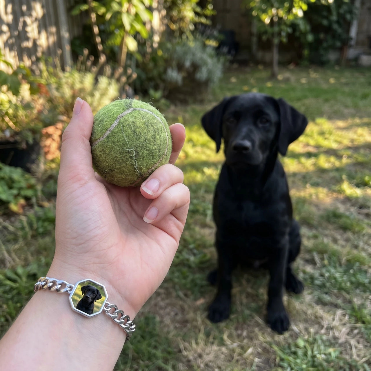 Customer photo: the silver octagon bracelet with her labrador's photo, her dog in the background | SKU: TPH-OCTB-SILVER-18